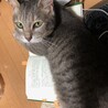 の写真