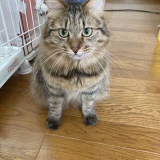 怖がりだけど甘えたい、たけ君