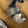 怖がりだけど甘えたい、たけ君 サムネイル3