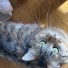 怖がりだけど甘えたい、たけ君 サムネイル4