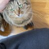 怖がりだけど甘えたい、たけ君 サムネイル5