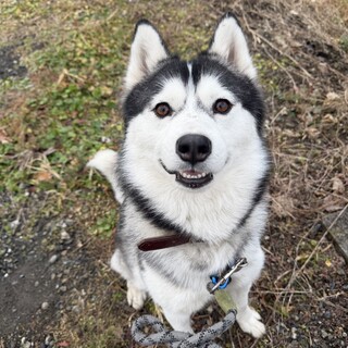 おドジなまもるくん