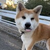 優しさ溢れるせいやくん