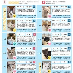 3月15日｛ラブとハッピー府中 保護猫譲渡会｝