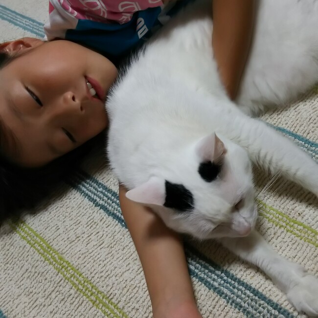 チビマルコのカバー写真