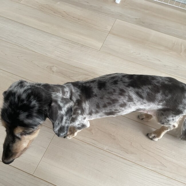 Asami0221のカバー写真