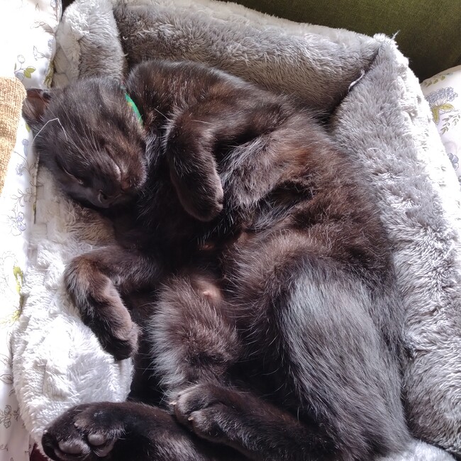 イツコのカバー写真