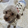 sweetに変身中のいちごちゃん サムネイル2