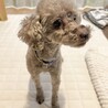 sweetに変身中のいちごちゃん サムネイル6
