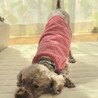 sweetに変身中のいちごちゃん サムネイル7