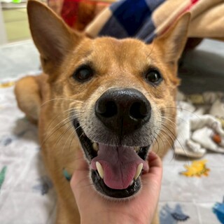 ちょっぴりびびりなsweet boy Elio♡