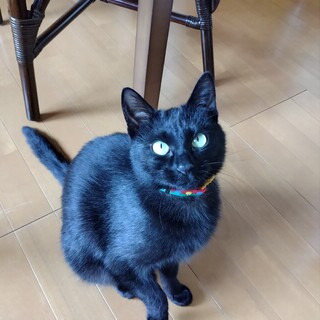 元気ハツラツ愛ちゃん