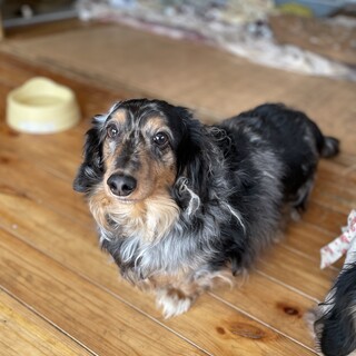 のんびり屋さんのランくん