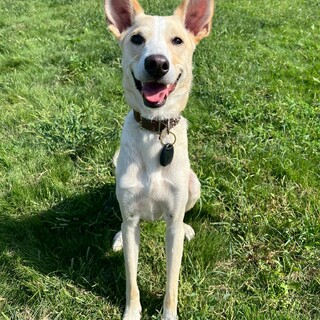 遊ぶの大好きなシャイボーイ☆テリー