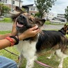 天然おとぼけボーイ♡Cisco サムネイル5