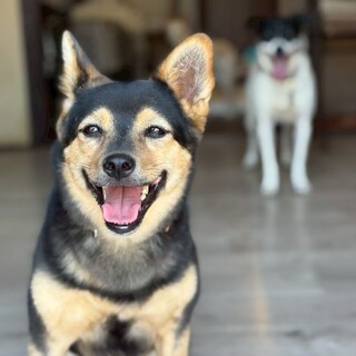 きらきらアイドルスマイル♡Koma