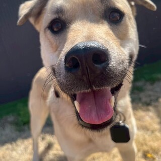 陽気なオレ♪ お調子者のDarby