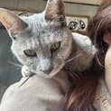 里親さま決まりました。ありがとうございました。