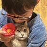 里親さま決まりました。ありがとうございました。 サムネイル4