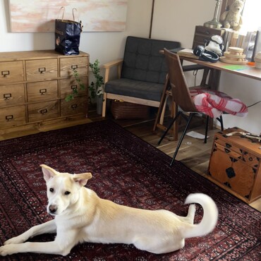 おっきくなったね