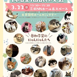 みなとねこ保護猫譲渡会＠三田NNホール＆スペース