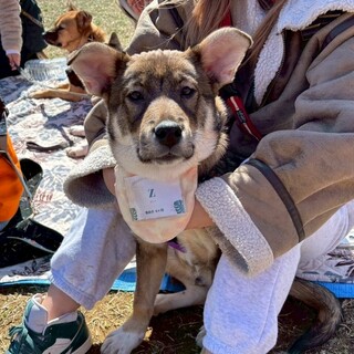 おもちゃ大好きＺ君