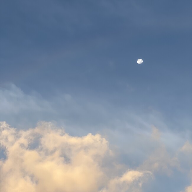 Hawnuのカバー写真