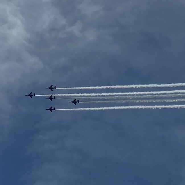 二丁目に住む猫のカバー写真