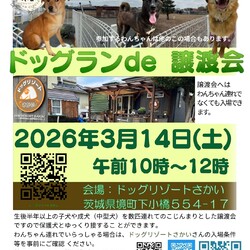 ドッグランde譲渡会（インスタライブ配信あります）