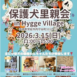 保護犬里親会（屋内なので雨でも開催）