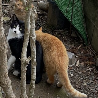 急募！！お世話されてた方が施設へ！！