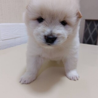 優介(旧サン)くん