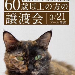 60歳以上の方の譲渡会 in大阪市