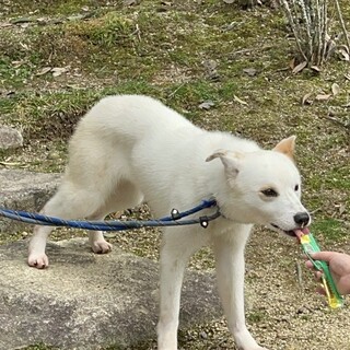 大きなお耳がチャームポイント♡【ののか】ちゃん