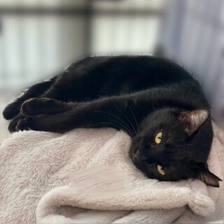 マイペースでおやつ大好き♪