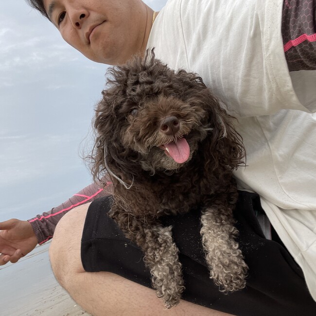 ダスメルクリーンのカバー写真