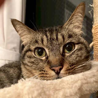 とても控えめで穏やかな女の子❤︎さくらちゃん