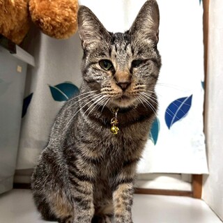 すりすりごろごろ可愛い女の子❤︎うーたん