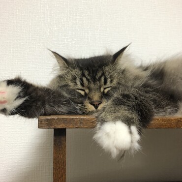の写真