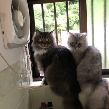 の写真