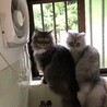 の写真