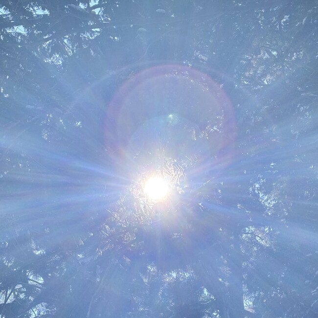 良徳章子のカバー写真