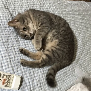 の写真