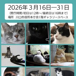 「ねこ写真展ーしあわせのたねー」