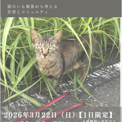 もう一つの　ねこ写真展「見過ごされる町」猫がいる風景から考える、災害とコミュニティ