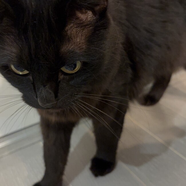 umi0401のカバー写真