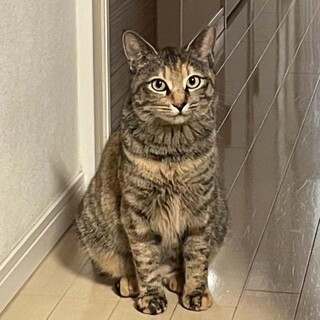 【募集一時停止】ムギワラ女子❤️さらちゃん