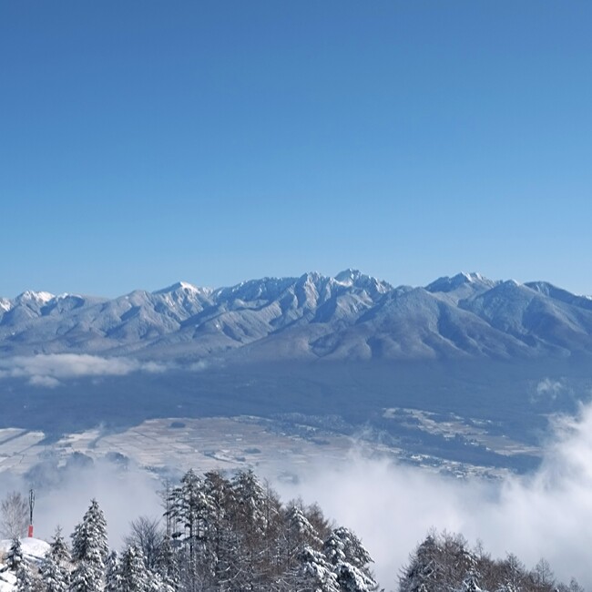 M・SUZUKiのカバー写真