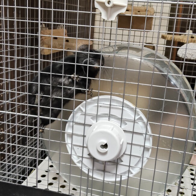 みほ7777のカバー写真