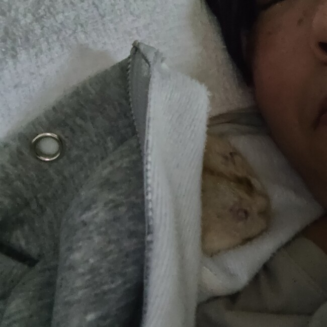 永遠に片思いのカバー写真